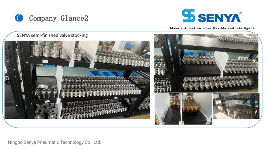 Senya Pneumatic Industry Leading High-Quality Us Series Pilot Operated Water Electromagnetic Valve 2/2 Ways Steam Solenoid Valve